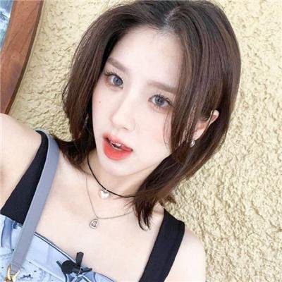 彩虹庇护所